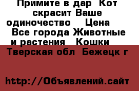 Примите в дар. Кот скрасит Ваше одиночество. › Цена ­ 0 - Все города Животные и растения » Кошки   . Тверская обл.,Бежецк г.